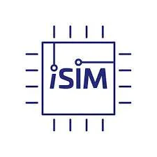 ISIM Online job support