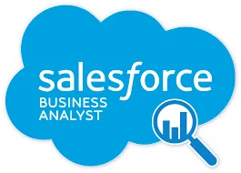 Salesforce Business Analyst Online job support